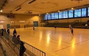 N1F LES ALPINES contre JDA DIJON