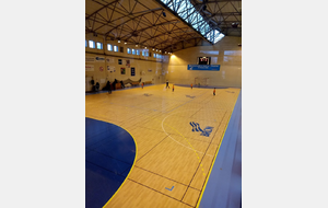 N2F LES ALPINES contre BRON HANDBALL