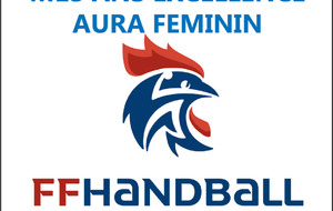 -13F1 EXCELLENCE AURA FEMININ
