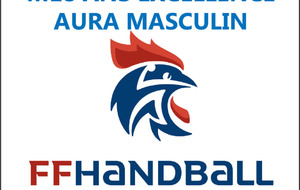 -18G1 EXCELLENCE AURA MASCULIN