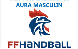 -13G1 EXCELLENCE AURA MASCULIN